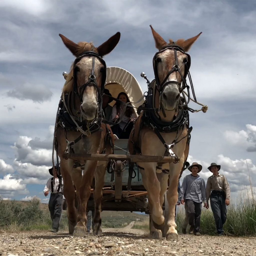 Wagon on the California Trail